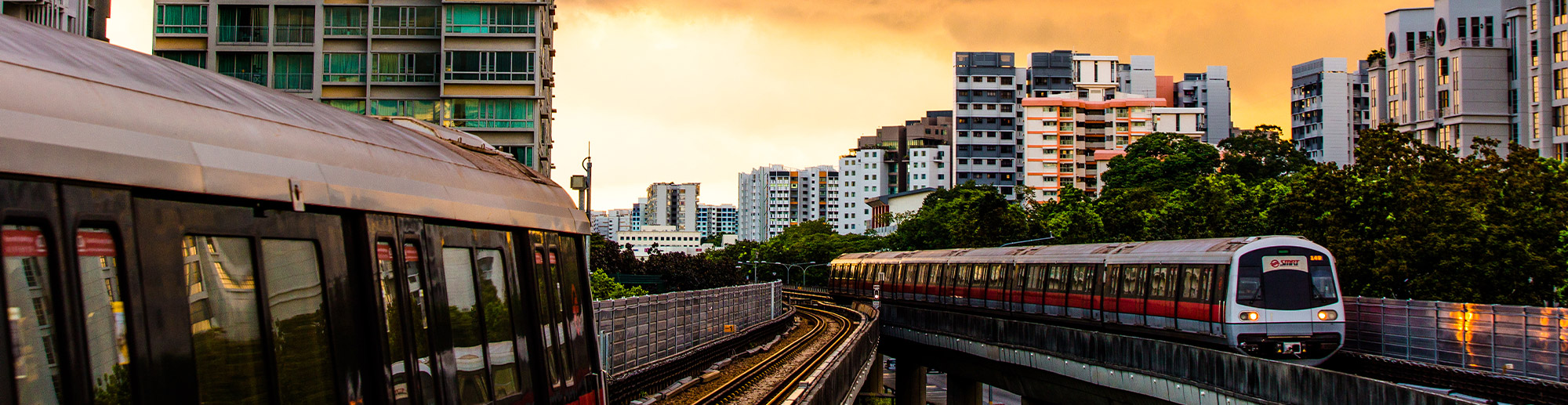 Statement of Integrity